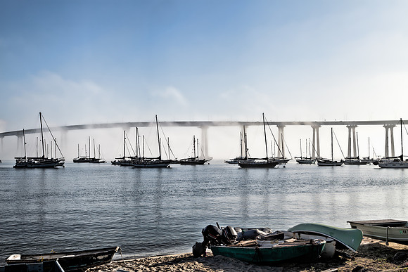 MORNING FOG