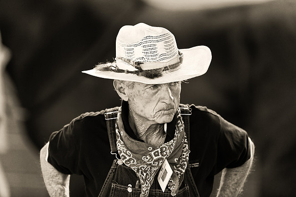 STABLE BOSS  B & W