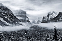 MISTY FOG