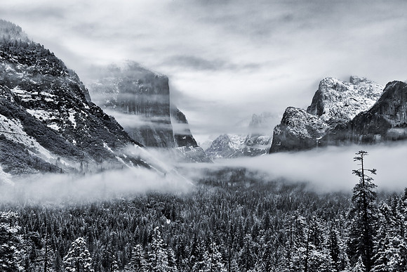 MISTY FOG